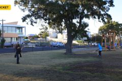 Seven Grounds, One Trophy: The Venues of the Women's T20 World Cup