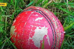 pitchreporter
