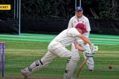 pitchreporter