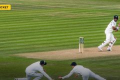 pitchreporter