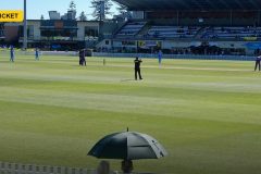 pitchreporter