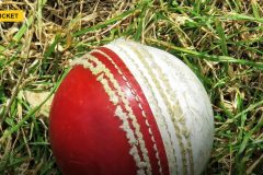 Deepti Sharma Headlines First-Ever WPL Mega Auction Set for New Delhi