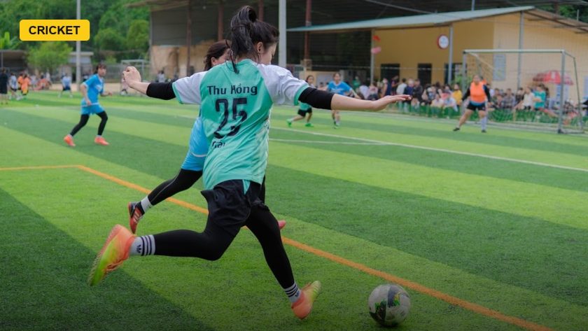 WPL Franchises Lock In Core Stars But Cut Grace Harris And Amy Jones Ahead Of October Auction