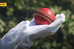 ICC Approves Pink-Ball Trial For Daytime Tests To Cut Bad-Light Stoppages