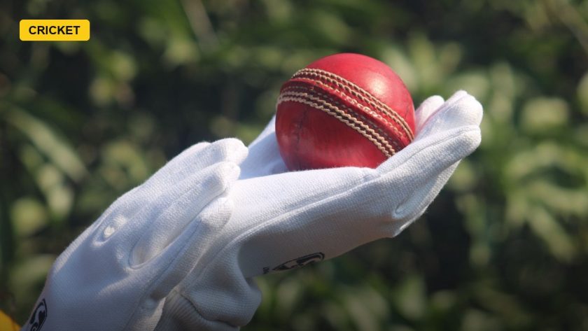 ICC Approves Pink-Ball Trial For Daytime Tests To Cut Bad-Light Stoppages