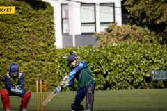 India's First New Zealand Test Tour in Six Years Doubles as a Fight for World Test Championship Survival