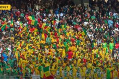Ireland Open ODI Series in Namibia as Associate Nations Chase Fixture Access