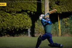 Ben McDermott's Century Lifts Tasmania to Four-Run Sheffield Shield Thriller Over Victoria